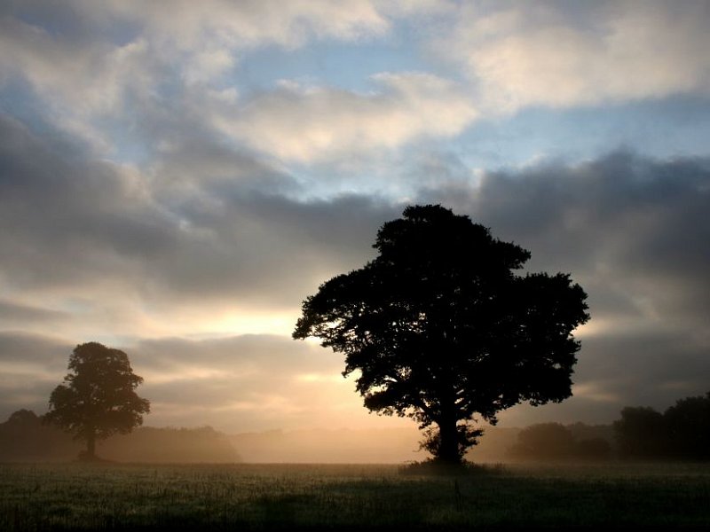 How important is the EU referendum to Sussex wildlife?